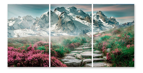 Cuadro Paisaje Montañoso B 60x120 Cm Entero O Triptico