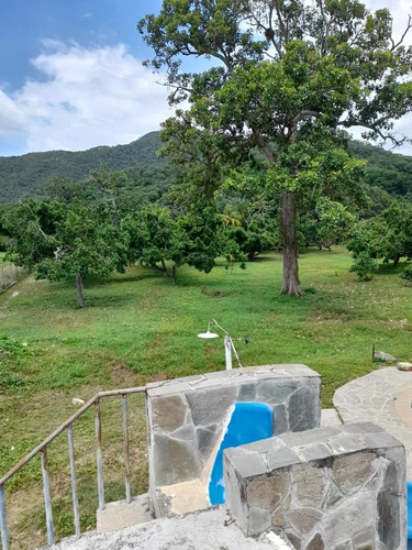 Imagen 28 de 30 de En Venta Finca En Ocumare De La Costa, Aragua