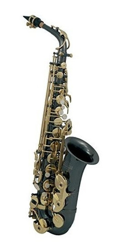 Saxofón Alto Negro Con Estuche