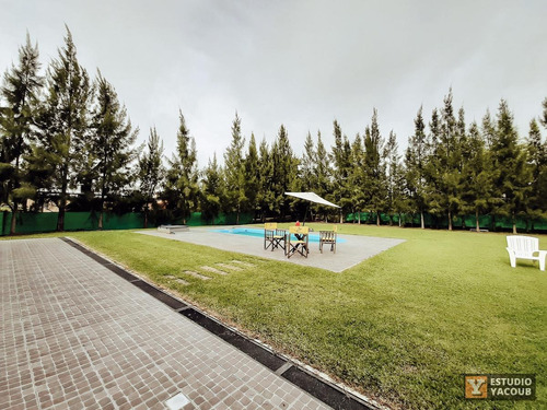 Imagen 15 de 30 de Casa Venta 2 Dormitorios 1 Baño Terreno 31 X 50 - 1550 Mts 2 Totales - Villa Parque Sicardi
