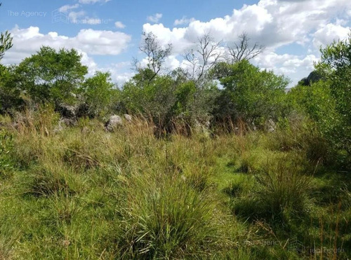 Imagen 15 de 15 de Campo Ganadero En San Jose De 126 Ha, Sierra De Mahoma, Ganadero
