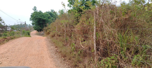 Terreno En Renta De Terreno A Pie De Carretera En Sebastopol Tuxtepec Oaxaca