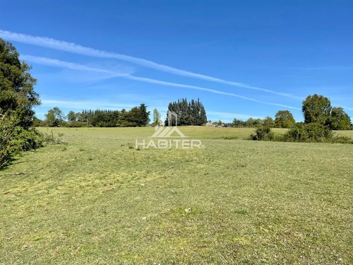 Cod35266 Vende Agrícola Campo De 36 Ha. Indigena En Lautaro