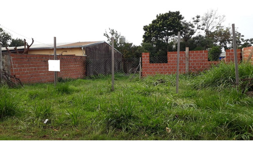 Imagen 3 de 3 de Terreno En Barrio Altos De Bella Vista