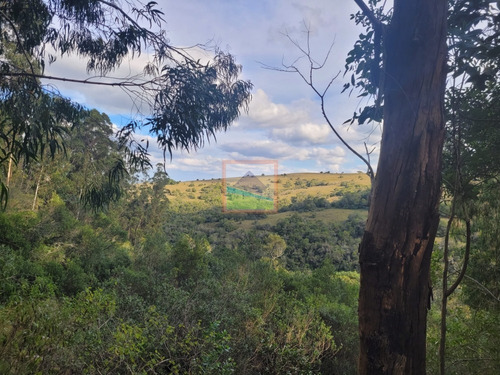 Imagen 3 de 23 de Campo Turístico 38 Hás En Zanja Del Tigre