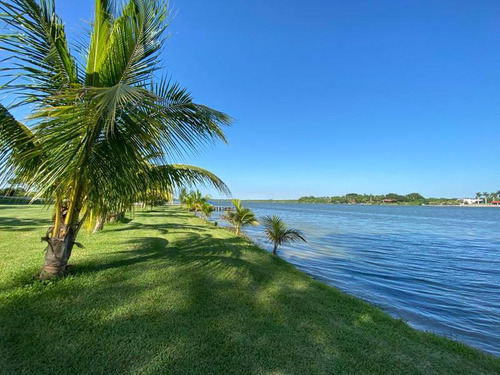 Lotes Venta Fraccionamiento Arboledas Del Río 600 M² Tuxpan Veracruz