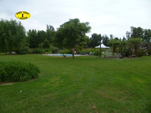 Imagen 4 de 29 de 1554ml-venta 20 Ha, C/ Casa En La Mejor Zona Polera