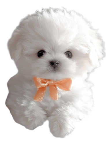 Juguete Electrónico De Peluche Para Perro Que Camina Y