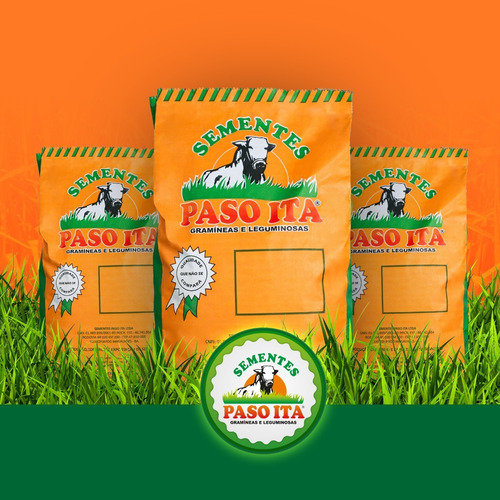 Panicum Maximum Cv Tanzânia Incrustada- 10kg