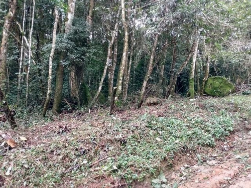 Imagem 4 de 4 de Terreno Para Venda, 1518.0 M2, Graça-caucaia Do Alto - Cotia - 22999