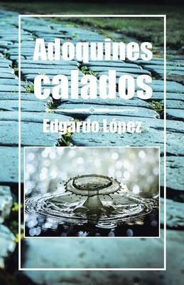 Libro Adoquines Calados - Edgardo Lopez