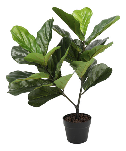 Ficus Lyrata De 75 Cm, Vadell Home