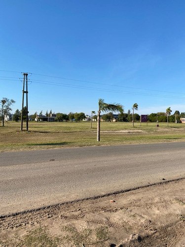 Imagen 4 de 8 de Lotes En Venta