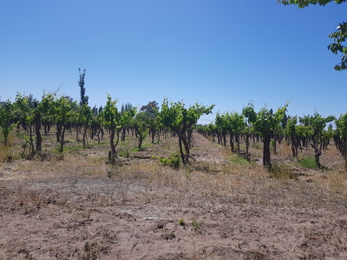 Imagen 4 de 8 de Finca Atuel Norte