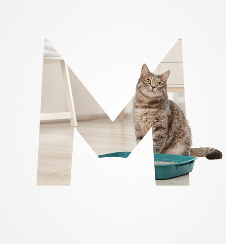 Imagen 4 de 10 de Arena Sanitaria Monkcat Bentonita Aglomerante X 16kg