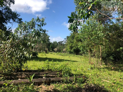 Imagem 4 de 15 de Chácara Para Venda Em Parobé - Cwvcr041_2-1122322