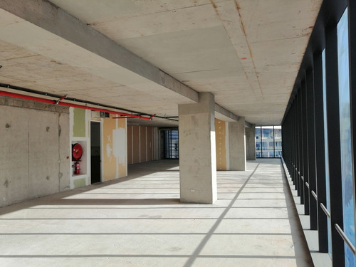 Arriendo Oficina Por Estrenar, 263,95 M2, La Dehesa