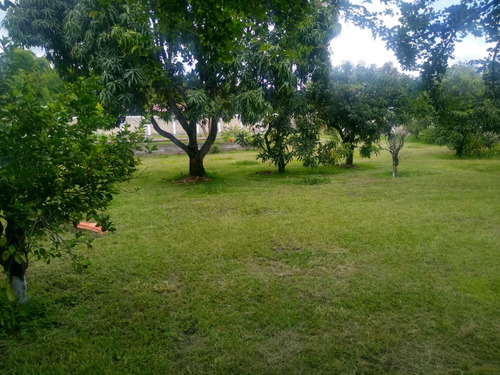 Terreno En Venta En Jonacatepec, Morelos