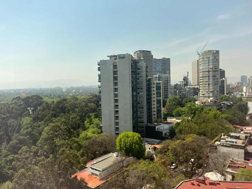 Departamento En Renta En Polanco Rubén Dario