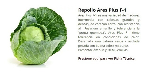 Semilla De Repollo Ares Plus F-1 Híbrido (calor) 1000 Sem.