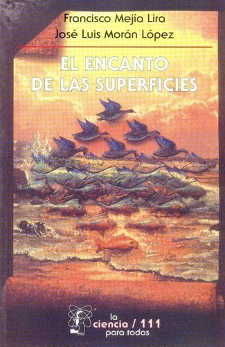 El Encanto De Las Superficies