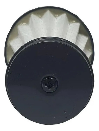 Filtro Aspirador Ergorapido Erg10 Ao Erg25 Electrolux 2 Unid