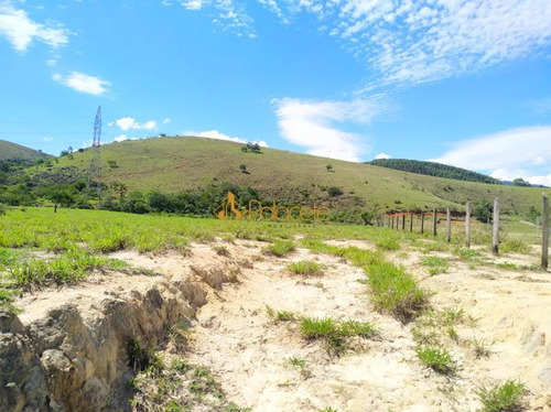 Imagem 2 de 8 de Rural Comercial - 259611-v