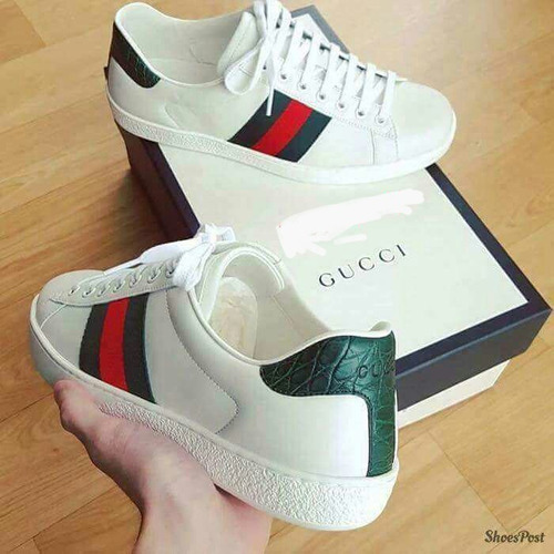 Tennis Gucci