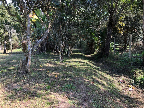 Imagem 8 de 14 de Chacara Para Formar, Ou Ate Residencia