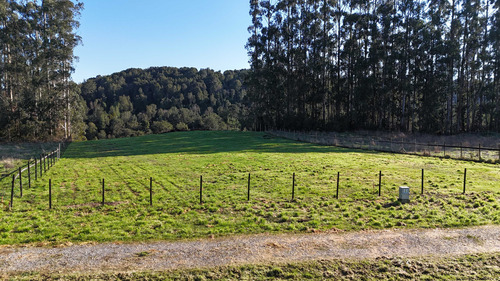 Parcela Plana Vista A Los Volcanes Pto Varas (100953)