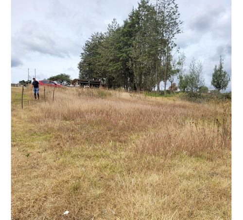 Imagen 8 de 8 de Vendo Terreno De 1000 M2 Y De 2070 M2 En Tababela (precio Negociable)