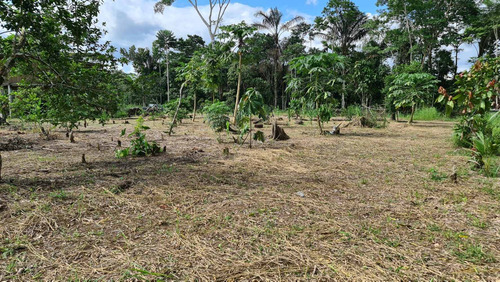 Imagen 13 de 14 de Linda Finca 32 Hectáreas Jambelí - Lago Agrio - Oriente