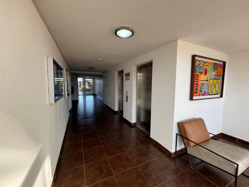 Departamento En Coquimbo, Condiciones Especiales
