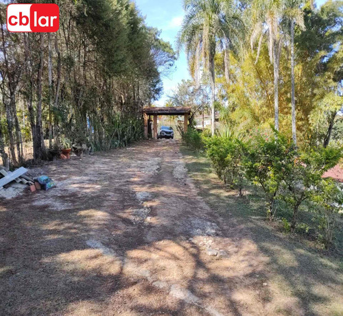 Imagem 2 de 30 de Chacara - Ch00239 - 69883738