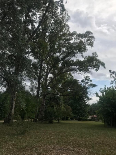 Imagen 19 de 22 de Terreno En Venta - El Remanso, Exaltación De La Cruz - 2.776m2