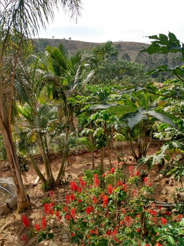 Imagem 10 de 26 de Chácara Para Venda - Serra Itapety , Guararema - 4 Vagas - 2597