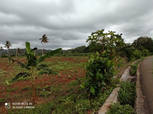 Vendo Terreno En Las Galeras Samana A 15 Min De La Playa. 