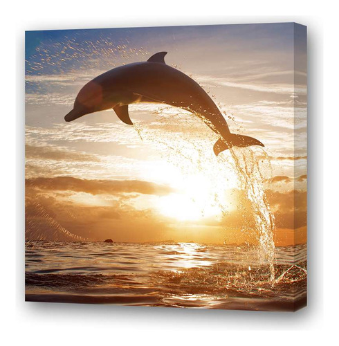 Cuadro 30x30cm Delfines Delfin Saltando Mar Soleado