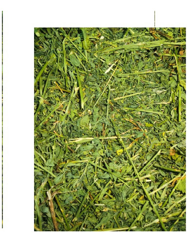 5kg De Heno De Alfalfa Orgánica Para Cuyo Y Conejo