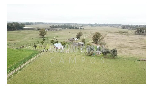 Imagen 11 de 13 de Campo Venta Las Heras Cabaña Producción Engorde Villars