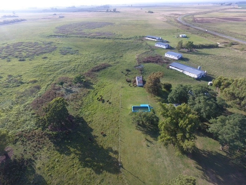 Imagen 16 de 18 de Venta Chacra 40 Hs Con Criadero De Cerdos En Las Flores.