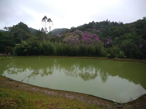 Imagem 3 de 19 de Sítio À Venda Em Miracatu Com Ampla Área Aberta Aproveitável! - 416 - 33675526