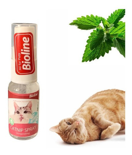 Catnip Spray Para Gatos Relajante Hierba De Gato 15ml