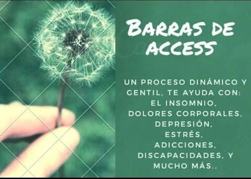 Imagen 4 de 4 de Barras De Access Sesión