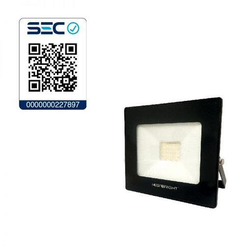 Imagen 4 de 4 de Proyector 30w Megabright Luz Fría / Eleco
