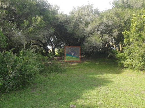 Imagen 8 de 14 de Campo 57 Hás En Garzón