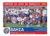 Comprar Quadro 20x30 Cu002F Moldura: Bahia Bí Campeão Copa Do Nord. 2002