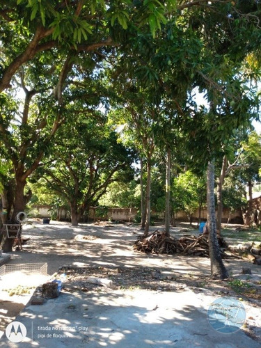 Imagem 5 de 8 de Terreno Na Vila De Ponta Negra - V-11436