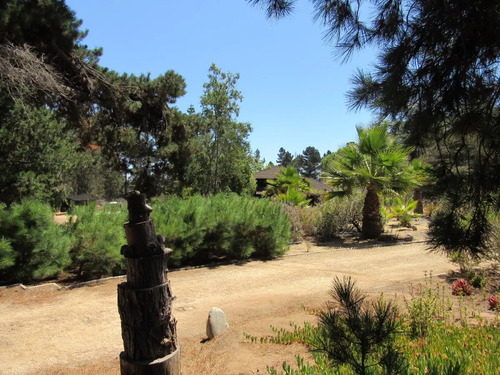 Alta Plusvalía, Terreno Con Piscina, Quincho, Pozo, Riego
