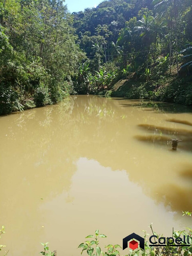 Imagem 10 de 15 de Sitio Familiar Com 3 Lagos Para Psicultura Em Miracatu-sp - 946